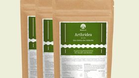 3er-Pack Arthridea – (3x Nachfüllpack 300g) Die Göttin der Gelenke