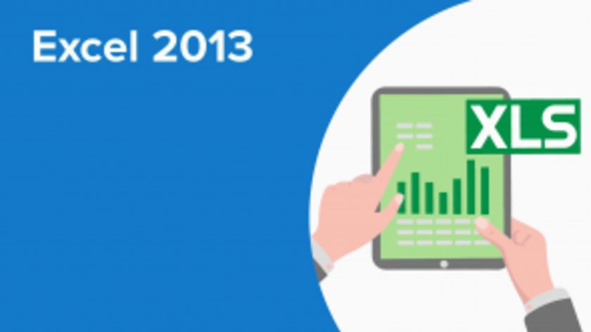 Microsoft Excel 2013 (EN)