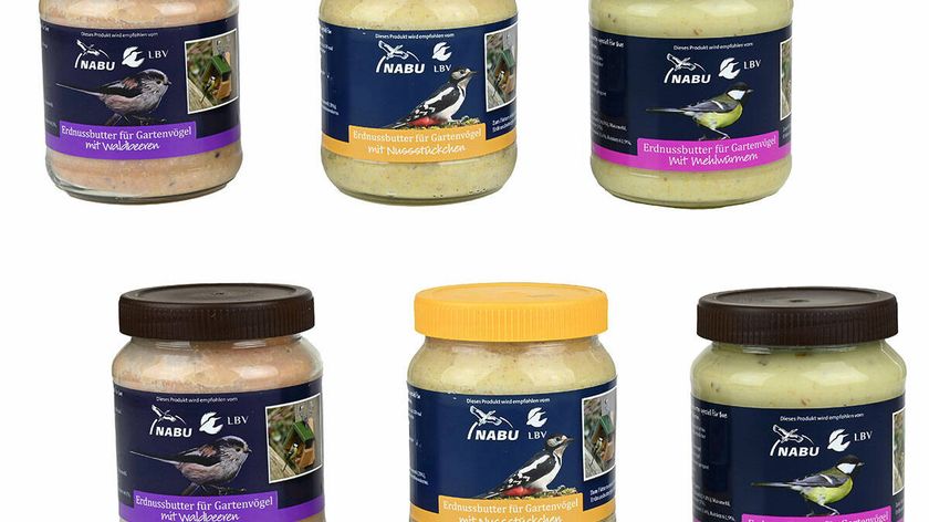 3 verschiedene Sorten Erdnussbutter für Wildvögel Set