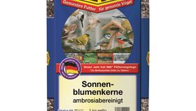 Sonnenblumenkerne gestreift Ambrosia bereinigt 1 kg