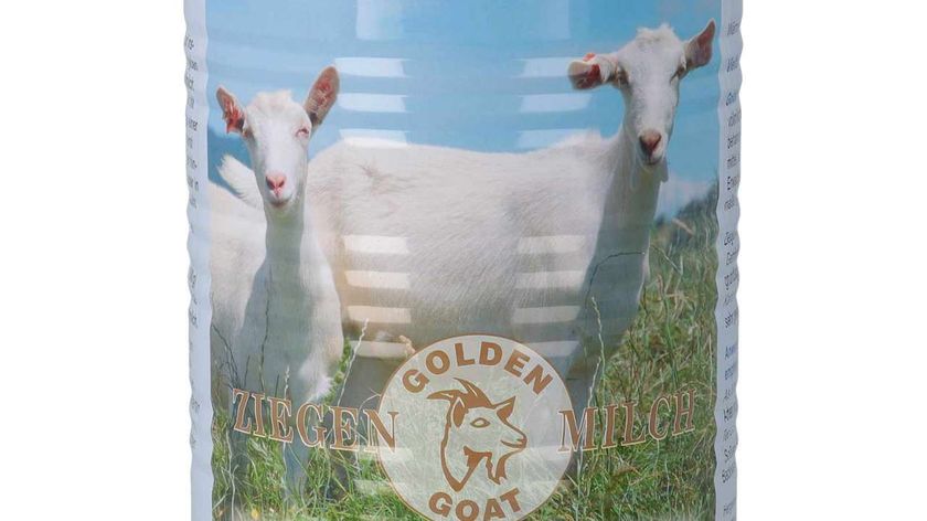 Golden Goat Ziegenmilchpulver ergibt 4 Liter Ziegenmilch