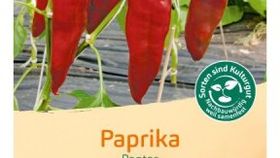 Bingenheimer Saatgut Paprika Pantos