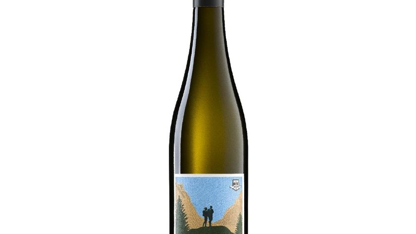 Bergdolt-Reif & Nett - Hiking - Weißwein Cuvée