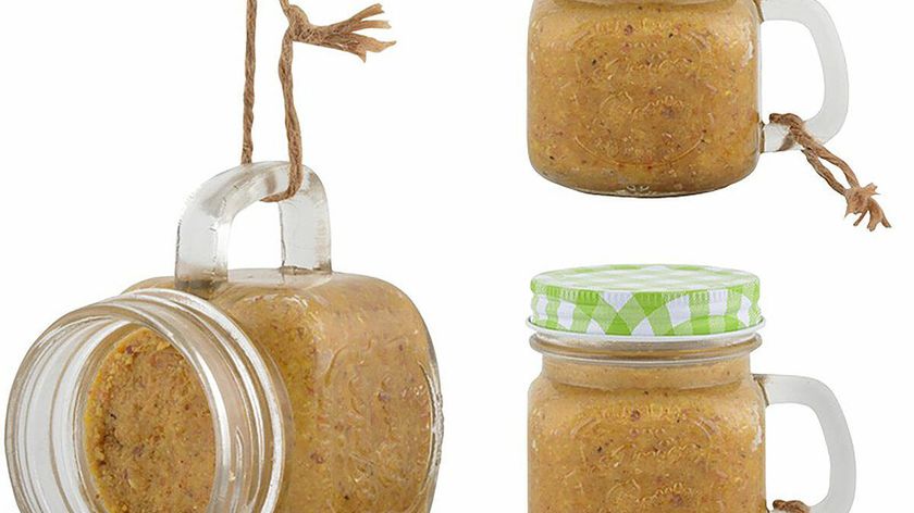 Erdnussbutter im Becherglas für Wildvögel