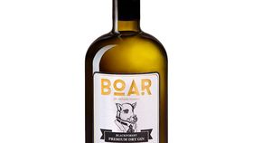 Boar Dry Gin - 500 mL