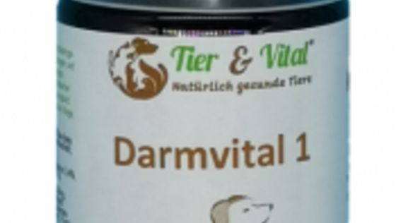 Darmvital 1 - 100ml