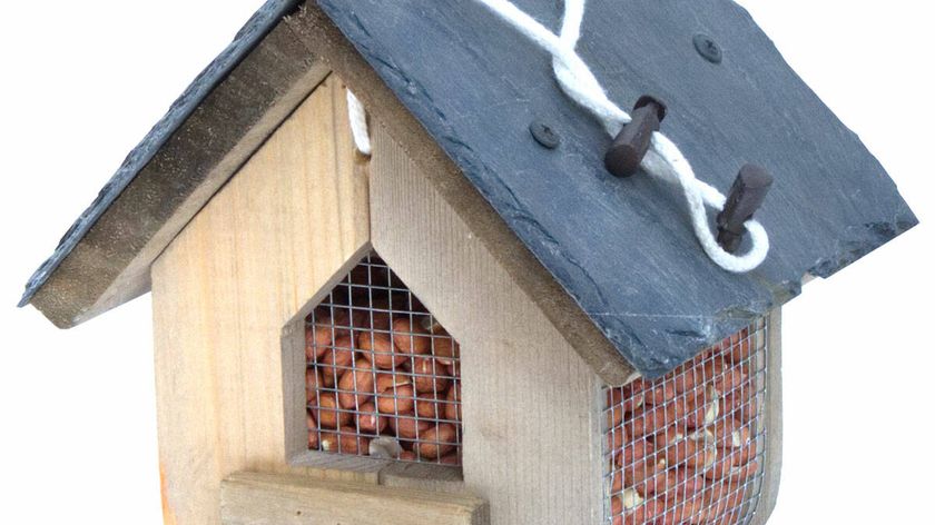 Erdnuss Futterhaus Jupiter mit Schieferdach