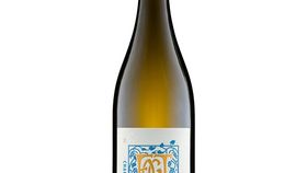 Weingut Fogt - Chardonnay & Chardonnay