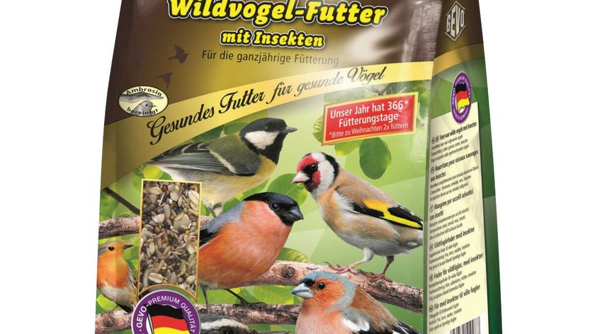 Wildvogelfutter mit Insekten 1000 g