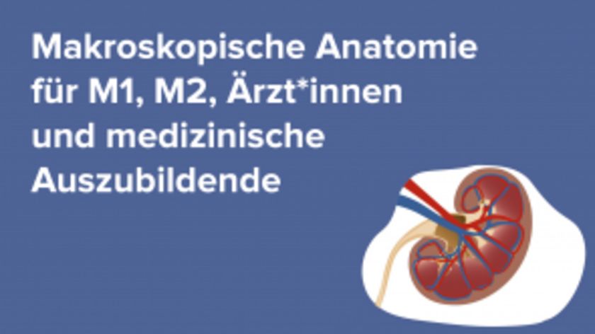 Makroskopische Anatomie für M1, M2, Ärzt*innen und medizinische Auszubildende