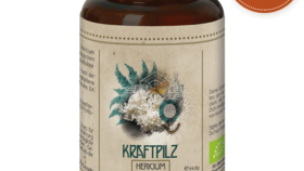 Kraftpilz Hericium - Vitalpilz Synergetium - 120 Kapseln