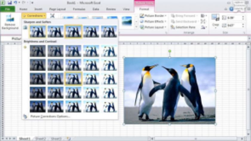 Graphics and Objects in Excel 2010